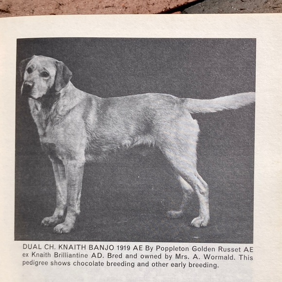 2 Dog Care Female The Labrador Retriever Canine Vintage Black Lab Books Animals - Picture 4 of 14